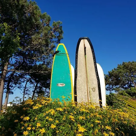 Santa Cruz Surfhouse Shared-room Guest house